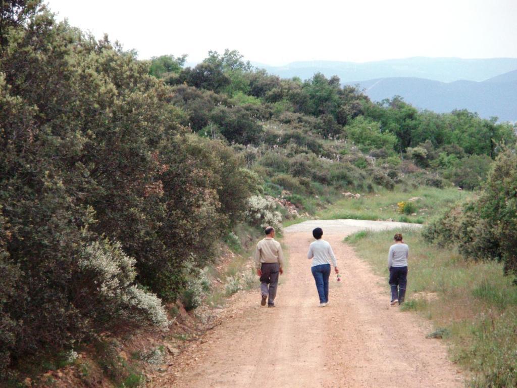 Los Laureles Casa Rural Urda Екстер'єр фото