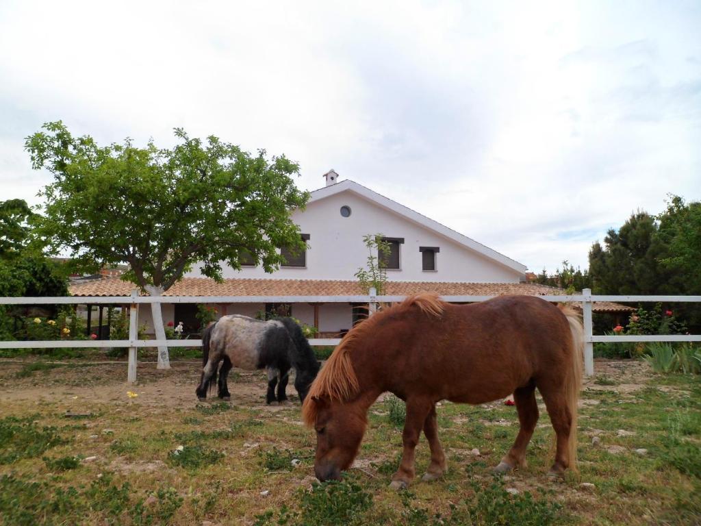 Los Laureles Casa Rural Urda Екстер'єр фото